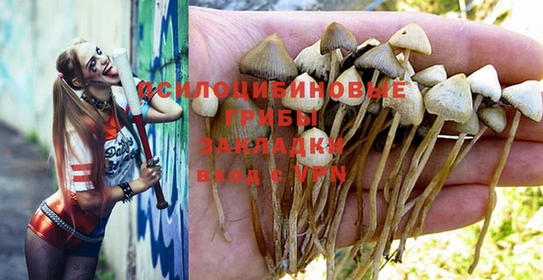 твердый Белая Холуница
