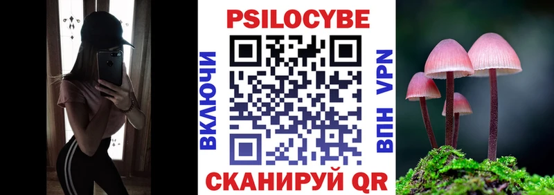 Псилоцибиновые грибы Psilocybe  цена   Лермонтов 