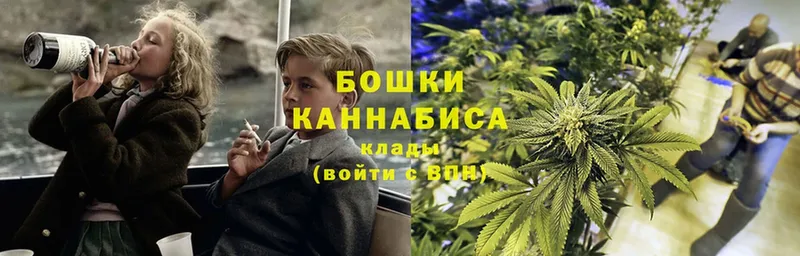 OMG ТОР  Лермонтов  Каннабис Bruce Banner 